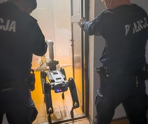 Ma cztery łapy, stalowe serce i właśnie podał łapę policjantowi. „Robopies” nowym hitem w służbach