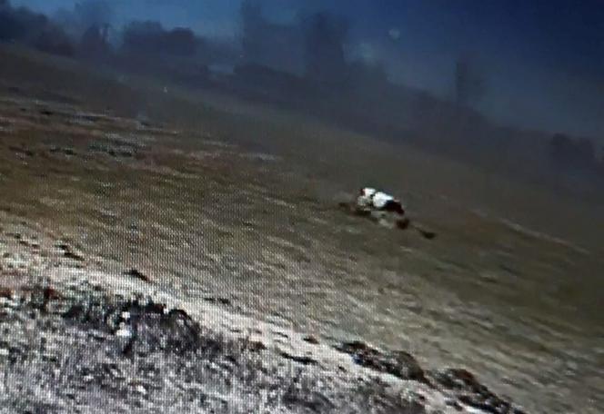 Burek zagryzł mu mamę