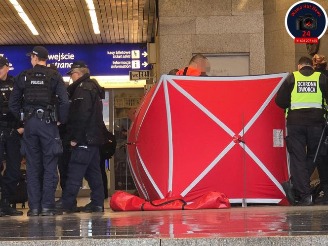 Zmarł na wózku inwalidzkim przed Dworcem Centralnym. Tragiczny poranek w Warszawie