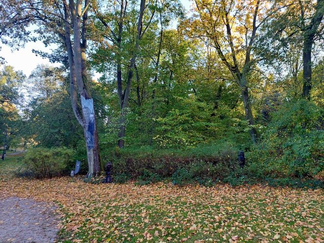 Sowa nieźle się pieni i dobrze pachnie. Nowe pamiątki z Ostromecka się podobają, ale ludzie chcą magnesu z Grubym