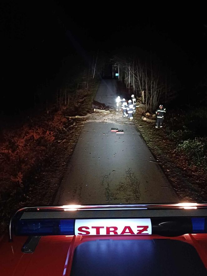 Zerwane dachy i powalone drzewa w Śląskiem. Przez wieczorny wiatr strażacy mieli dużo roboty ZDJĘCIA