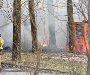 Pożar pustostanów przy ul. Grudziądzkiej w Toruniu. To nie pierwszy raz!