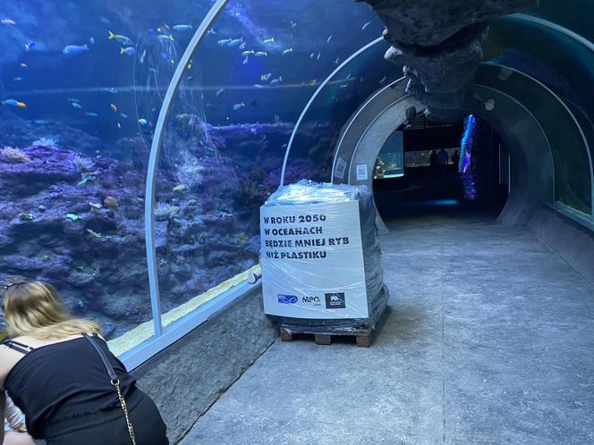 Nietypowa instalacja w łódzkim zoo. Chodzi o zwrócenie uwagi na problem