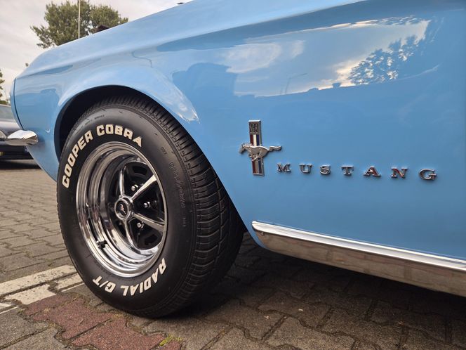 Klasyczna motoryzacja znów zachwyciła Bydgoszcz. „Bydgoskie Klasyki Nocą” przy Torbydzie