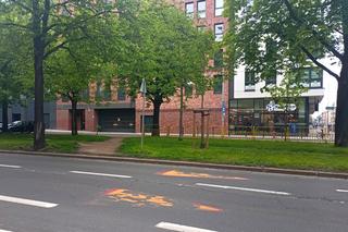 Radny chce przejścia dla pieszych na ul. Narutowicza