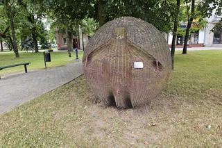 Wiklinowe miasteczko w Rudniku nad Sanem [GALERIA]