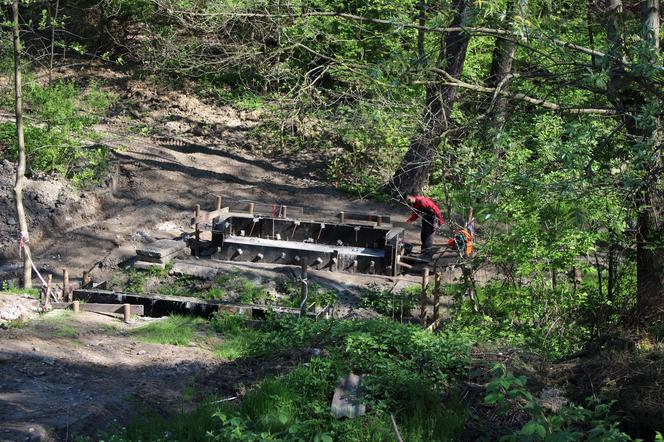 W Katowicach powstaje nowy park. Rozpoczęła się rewitalizacja Doliny Ślepiotki 