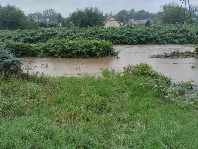 Ulewne deszcze na Śląsku. Trudna sytuacja na Żywiecczyźnie