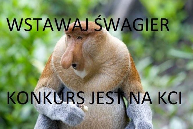 Memy na Dzień Szwagra 