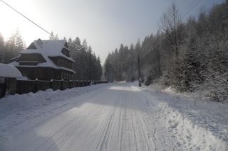 Zima