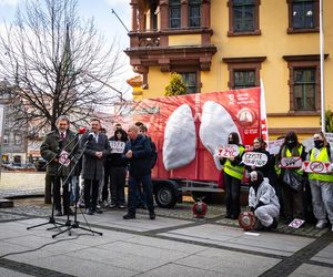 Smogowe płuca trafiły do Nowej Rudy. Zobacz zdjęcia instalacji!