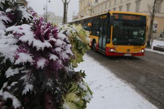 Boże Narodzenie, 26.12.2021.Jak kursuje komunikacja miejska w Warszawie? [ROZKŁADY JAZDY]