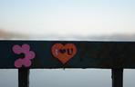 Kłódki zakochanych na moście w Toruniu