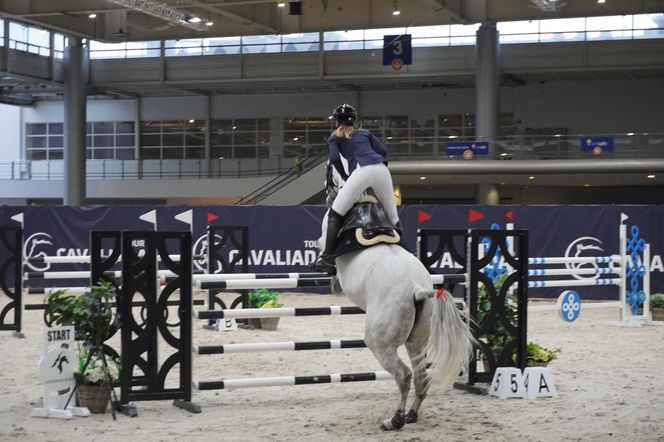 Cavaliada 2024. Pierwszy dzień rywalizacji w Poznaniu