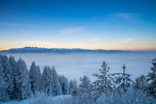 Ośrodek narciarski w Pieninach alternatywą dla Tatr. Mnóstwo tras, brak tłumów i kolejek 