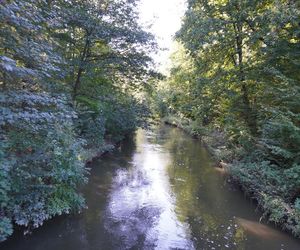 tłumy spokojnie spacerujących spacerowiczów w Pszczynie ZDJĘCIA