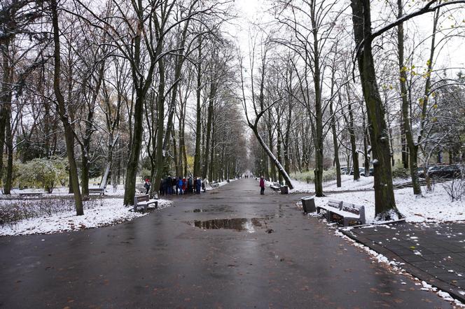 Białystok pod śniegiem. W mieście pojawiły się pierwsze świąteczne ozdoby