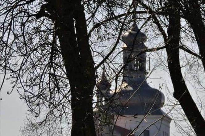 Widok z zamku na wieżę kościelną w Raciążu