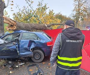 Tragiczny wypadek na drodze Mądrzechowo – Ząbinowice. 18-latka nie żyje [22.10.2022]