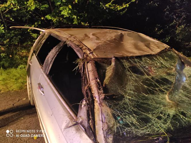 Podkarpackie. BMW wypadło z drogi [ZDJĘCIA]