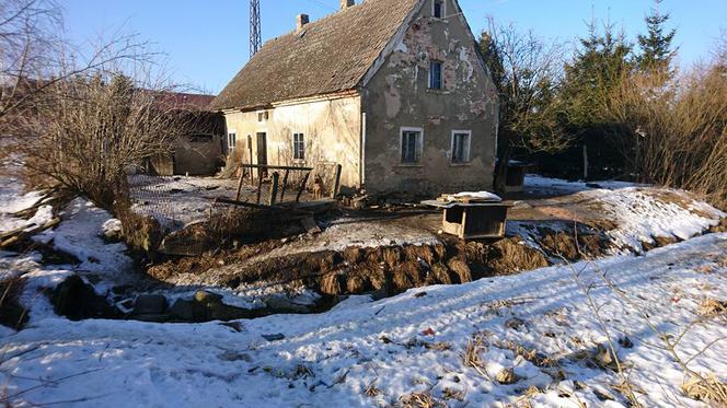 Pseudohodowla w Nowej Świdnicy