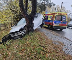 Pijany Ukrainiec wyleciał autem z drogi i uderzył w drzewo. Służby wezwał system eCall
