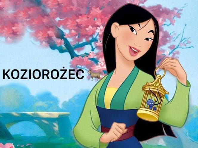 Koziorożec - Mulan