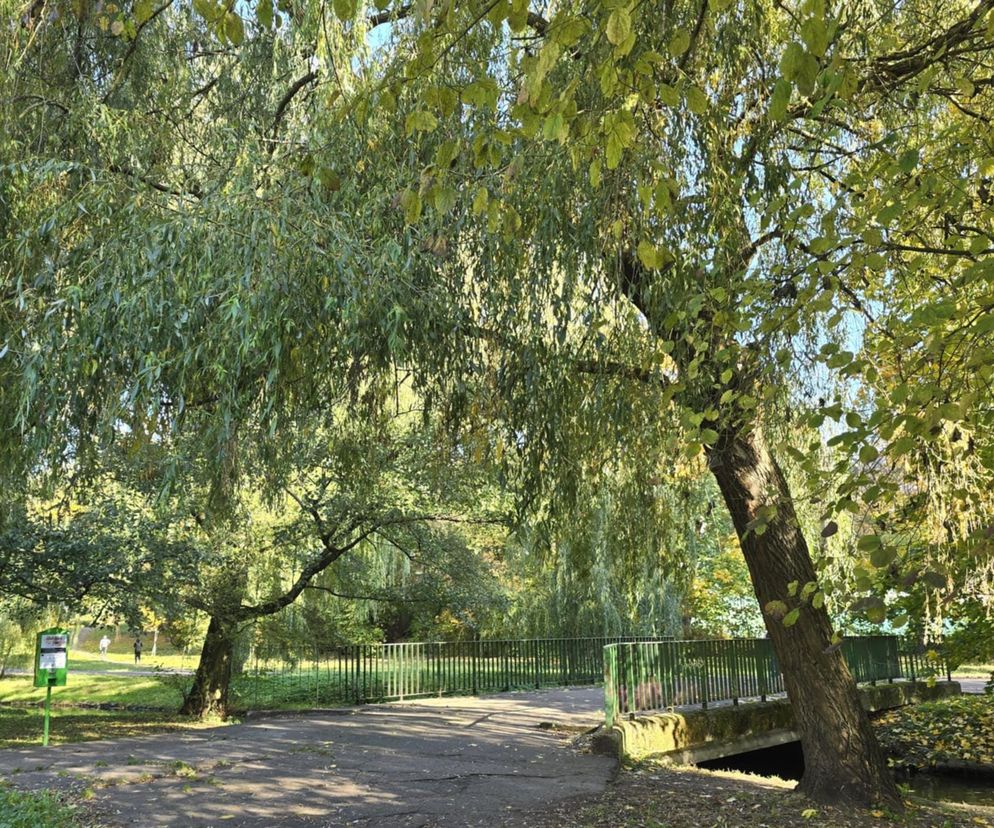 park 1