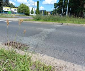 Tak się łata dziury na ulicach Leszna. Grys pryska spod kół