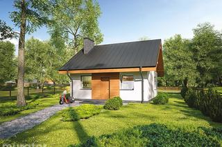 C333i Miarodajny wariant IX - wizualizacje, plany, rysunek