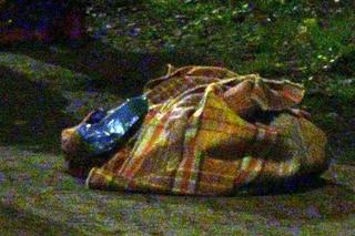 Wypadek w Błoniu. Wyszła na spacer z psem, wjechał w nią fiat. Tragiczny finał