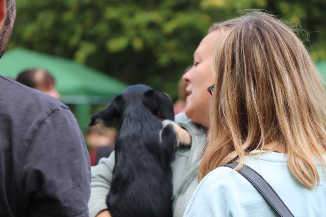 IX Piknik Przyjaciół Schroniska w Toruniu