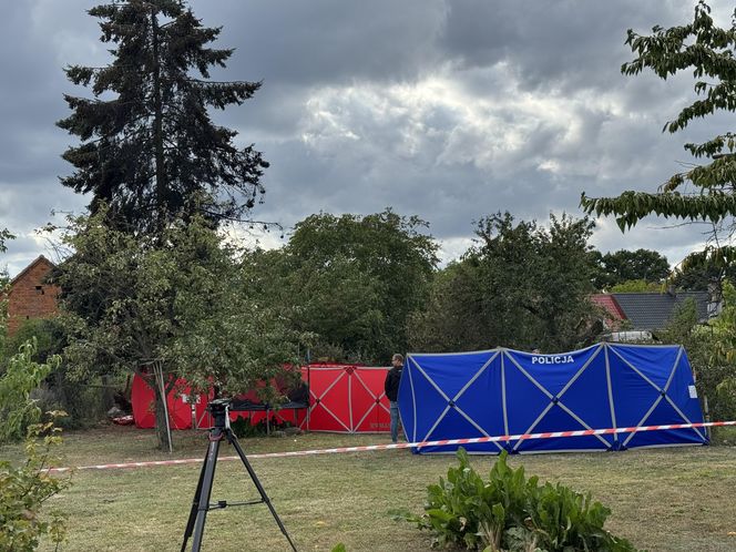 Wypadek awionetki w Krzycku Wielkim