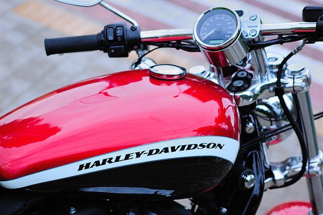 Harley-Davidson Sportster 1200 Custon CA