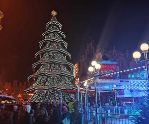 Ale blask! Choinka we Wrocławiu już świeci! Świątecznie rozświetliła cały Rynek [ZDJĘCIA]