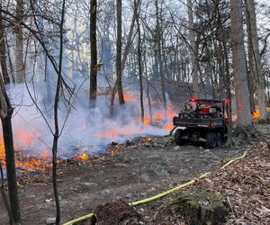 Ranni strażacy, ewakuacje, zamknięte szkoły i drogi. Trudna walka z ogniem w Nowym Jorku i New Jersey