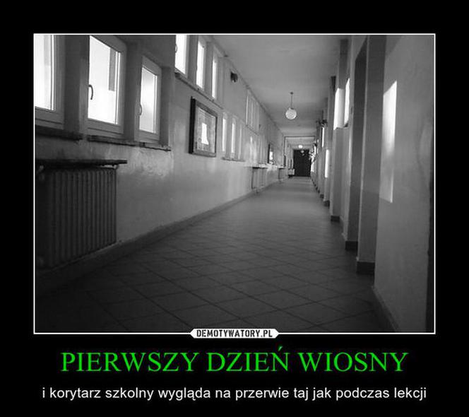 Memy na pierwszy dzień wiosny