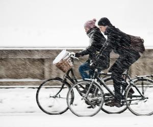 Rowerzyści zimy się nie boją! Które trasy rowerowe są odśnieżane we Wrocławiu? 