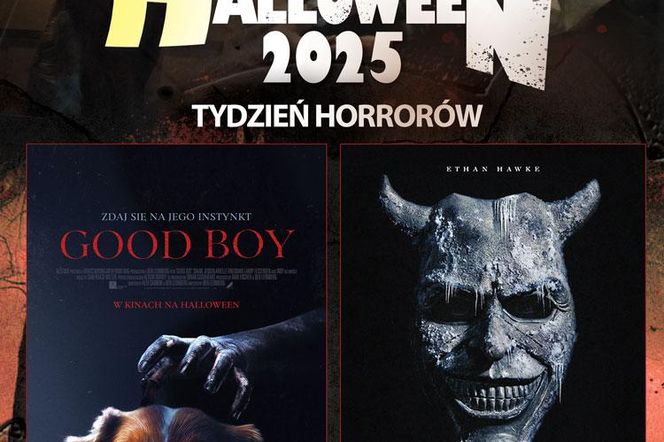 Tydzień Halloween w NoveKino Siedlce już od 31 października!
