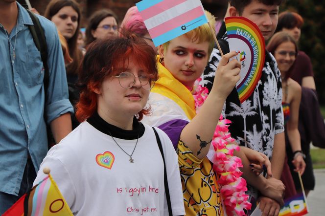 Marsz Równości w Toruniu i kontrmanifestacja