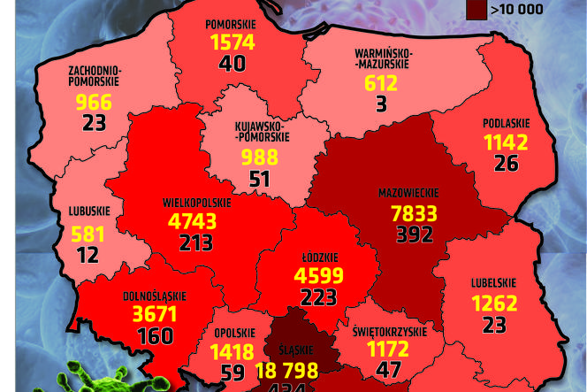 Koronawirus w Polsce. Wykresy i mapy: 16.08.2020
