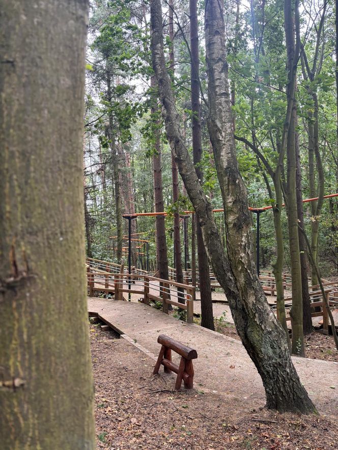Park Leśny na Oksywiu, Gdynia