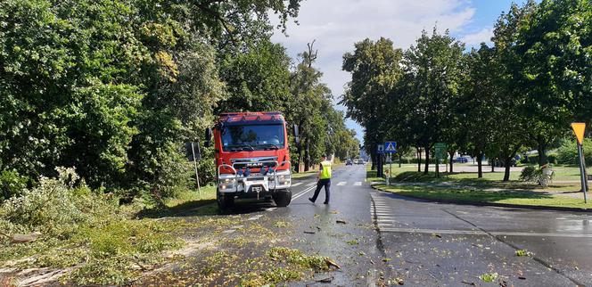 Straszna wichura przeszła przez Dolny Śląsk. Wciąż wieje!