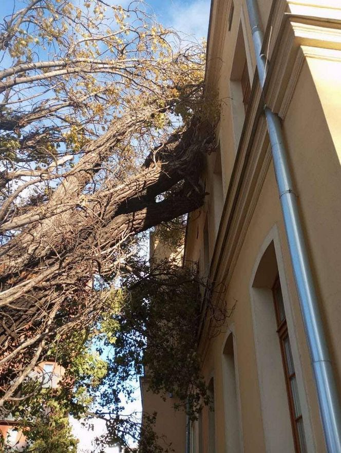 Polska pod naporem wichur! Strażacy nie mieli chwili wytchnienia