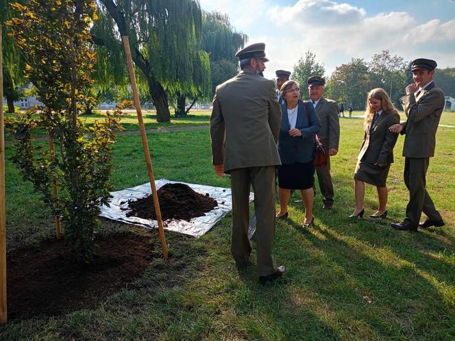 Trzy młode buki purpurowe na Skwerze Leśników Polskich wspólnie zasadzili pracownicy Nadleśnictwa Siedlce i Lasów Państwowych, władze miasta Siedlce i radni.