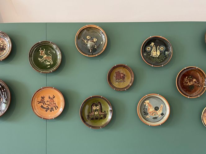 Wystawa Łysogórski Zwierzyniec w Krakowie