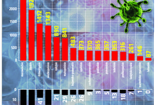 Koronawirus 27.04.2020 r, godz. 18. Zobacz aktualne wykresy i dane!