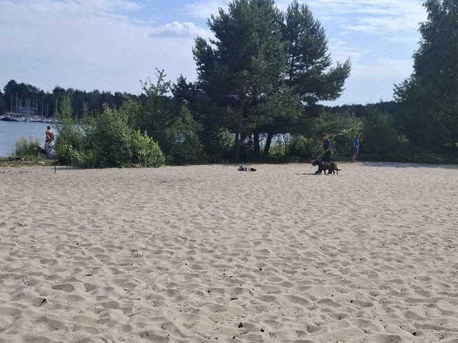 Tragedia nad Zalewem Sulejowskim. Nie żyje 15-letni Kacper. Szkoła żegna swojego ucznia [ZDJĘCIA]