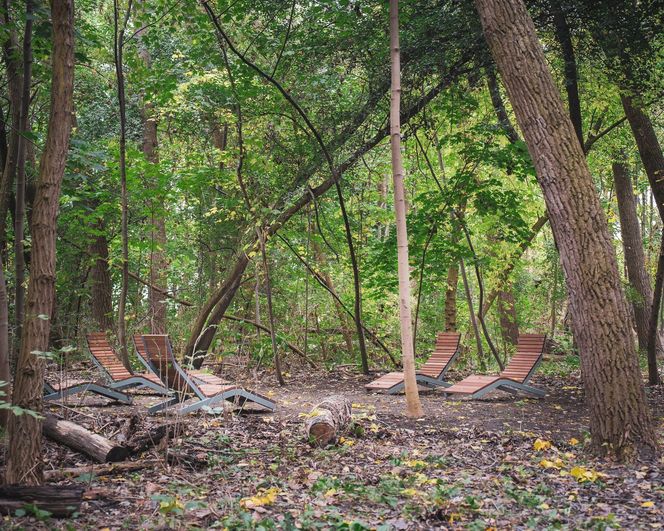 Park Żerański w Warszawie już gotowy