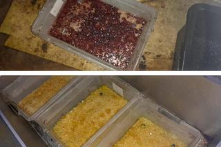 Policjanci wparowali do stodoły. Niby wiedzieli, po co idą, a jednak skala ich zadziwiła